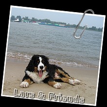 IMG_0371.jpg