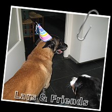 IMG_0518.jpg