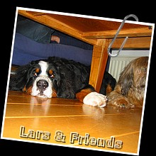 IMG_5080.JPG
