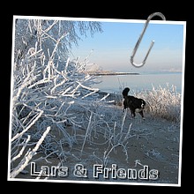 IMG_5197.JPG